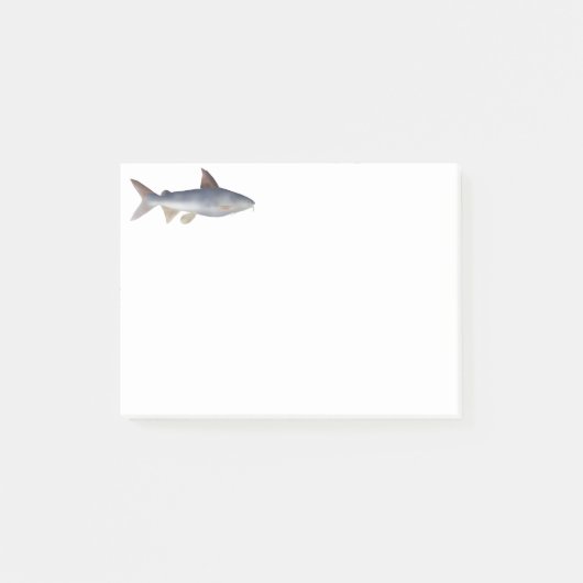 Gevlekte Meerval Post-it® Notes (Voorkant)