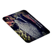 Gevlekte murene onder water magneet (Rechterzijde)