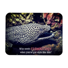 Gevlekte murene onder water magneet