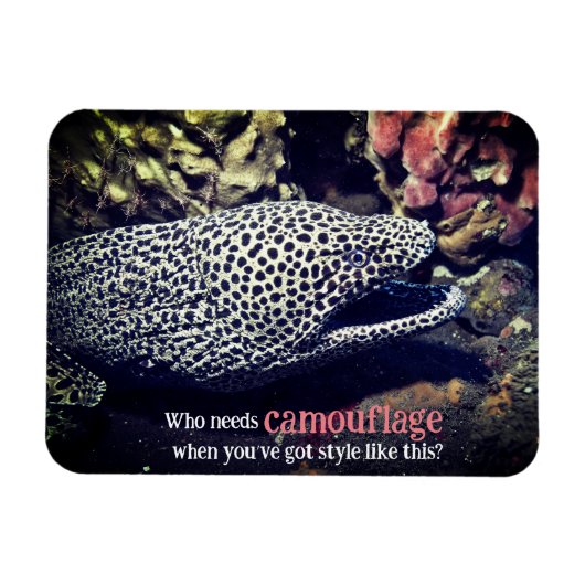 Gevlekte murene onder water magneet (Horizontaal)