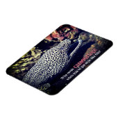 Gevlekte murene onder water magneet (Linkerzijde)