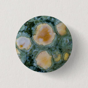 Gevlekte Oceaan Jasper Ronde Button 3,2 Cm