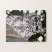 Gevlekte Ooruil Roofvogel Legpuzzel (Horizontaal)