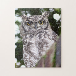 Gevlekte Ooruil Roofvogel Legpuzzel
