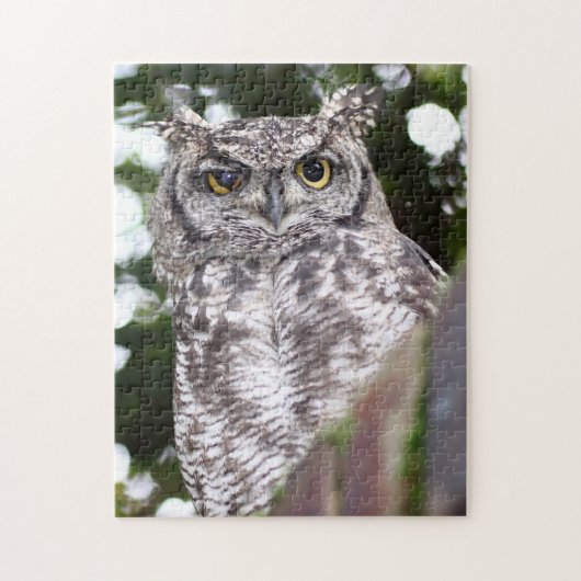 Gevlekte Ooruil Roofvogel Legpuzzel (Verticaal)
