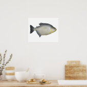 Gevlekte Piranha Poster (Keuken)