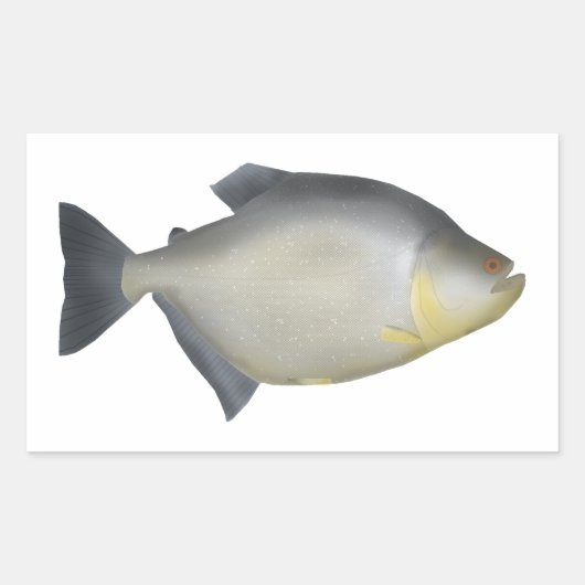 Gevlekte Piranha Rechthoekige Sticker (Voorkant)
