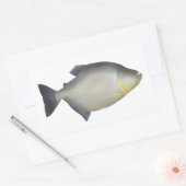 Gevlekte Piranha Rechthoekige Sticker (Envelop)