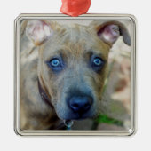 Gevlekte Pit Bull Puppy door Shirley Taylor Metalen Ornament (Voorkant)