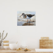 Gevlekte Sandpiper Bird Art Print Poster (Keuken)