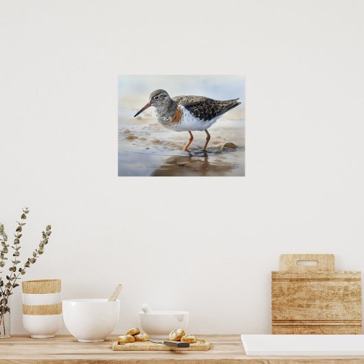 Gevlekte Sandpiper Bird Art Print Poster (Keuken)