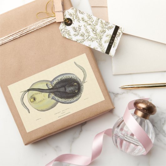 Gevlekte Stingrays, Vintage Mariene Oceaan Dieren Rechthoekige Sticker (Geschenken)