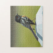 Gevlekte Towhee Colorado. Legpuzzel (Verticaal)