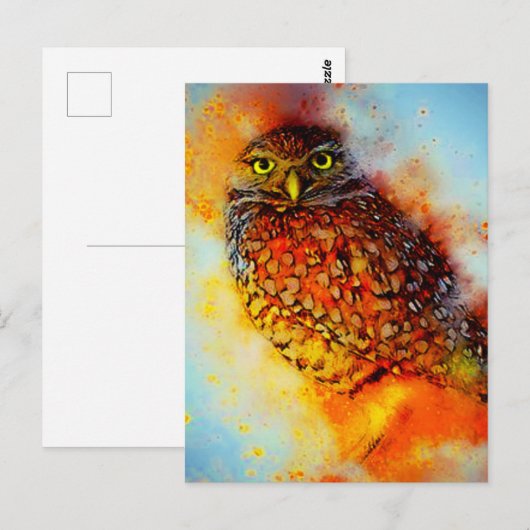 Gevlekte uil briefkaart (Voorkant / Achterkant)
