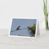 Gevlekte vliegenvanger kaart (Voorkant)