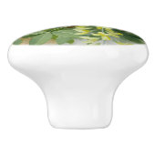 Gevlekte vliegenvangers, kunstillustratie keramische knop (Zijkant)