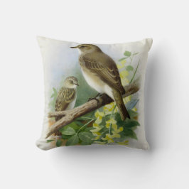 Gevlekte vliegenvangers, kunstillustratie kussen