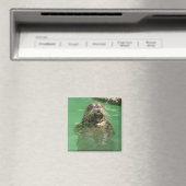 gevlekte zeehond magneet (Insitu (Vaatwasser))