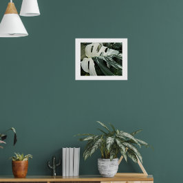 Gevlekte Zwitserse Kaas Plant Bloem Poster