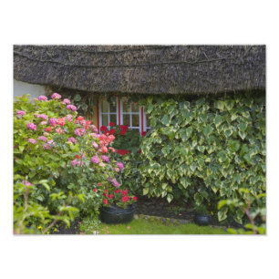 Gevleugelde cottage, Adare, County Limerick, Foto Afdruk