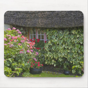 Gevleugelde cottage, Adare, County Limerick, Muismat