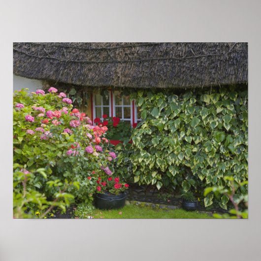Gevleugelde cottage, Adare, County Limerick, Poster (Voorkant)