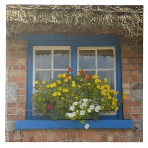 Gevleugelde cottage, Adare, County Limerick, Tegeltje