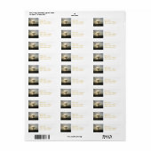 Gevleugelde leeuw mailing labels (Full Sheet)