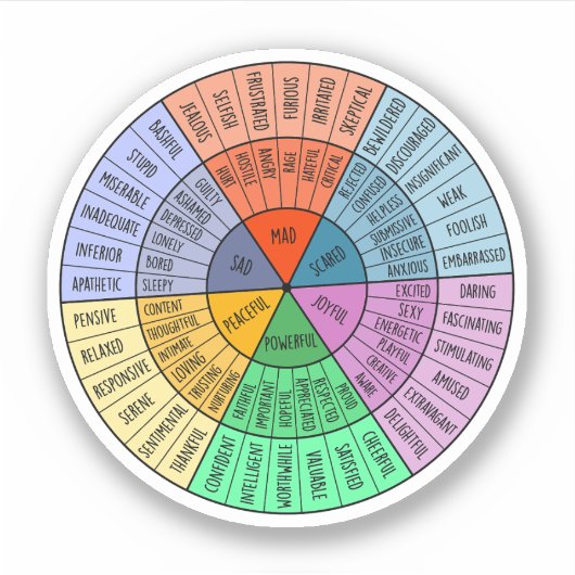 Gevoelens zijn valide, zelfzorg, geestelijke gezon sticker (Voorkant)