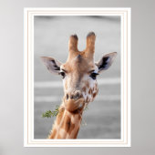 Gevoelig Poster (Voorkant)