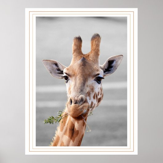 Gevoelig Poster (Voorkant)