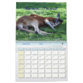 Gevoelige dieren kalender (Feb 2027)