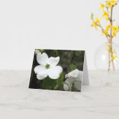 Gevoelige Kornoelje Notecard Kaart (Gele Bloem)