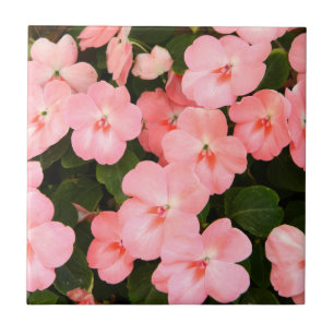 Gevoelige roze de lentebloemen tegeltje