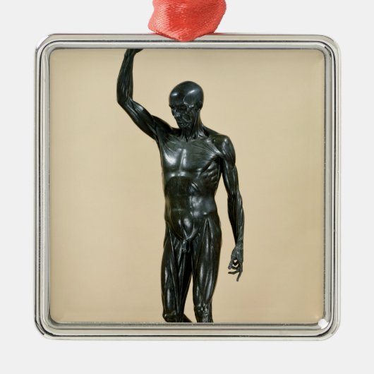 Gevoelige stof metalen ornament (Voorkant)