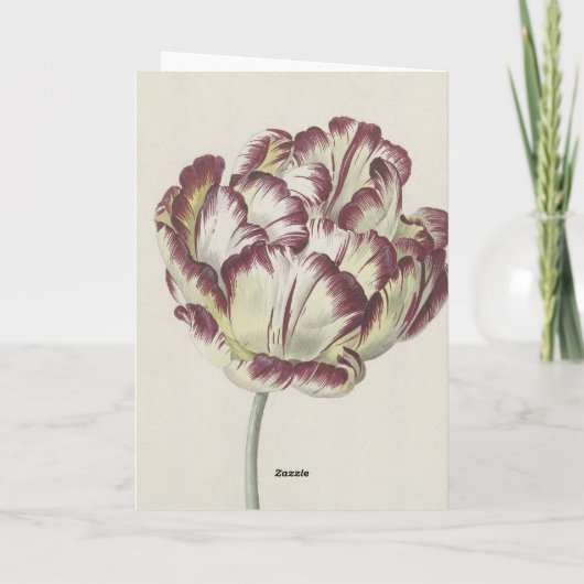 Gevoelige sympathie -  geel en rood Tulp Feestdagen Kaart (Achterkant)