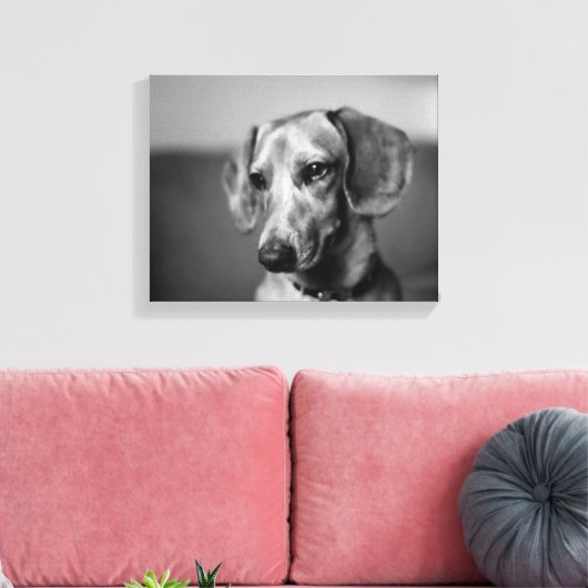 Gevoelige teckel canvas afdruk (Insitu (Woonkamer))