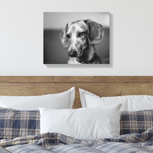 Gevoelige teckel canvas afdruk (Insitu (Slaapkamer))