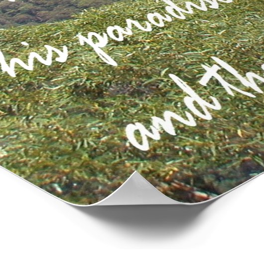 Gevoeligheid Poster (Hoek)