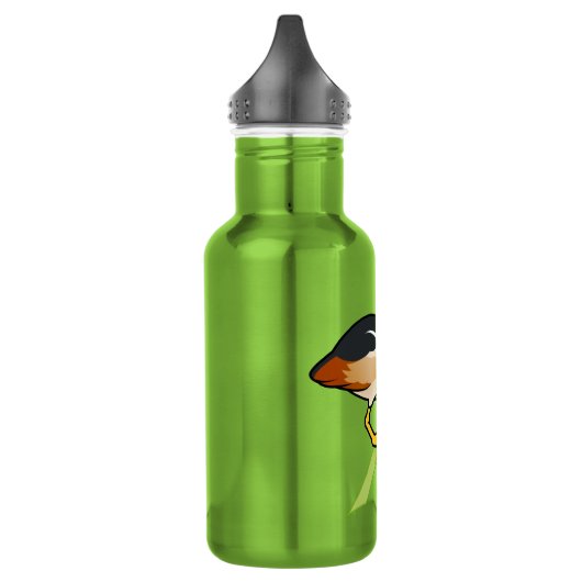 Gevogelte Least Bittern Waterfles (Links)