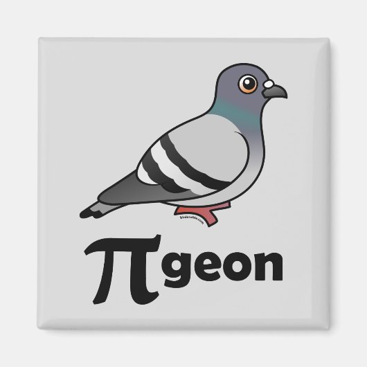 Gevogelte-PI-geon/Pigeon Pi Magneet (Voorkant)