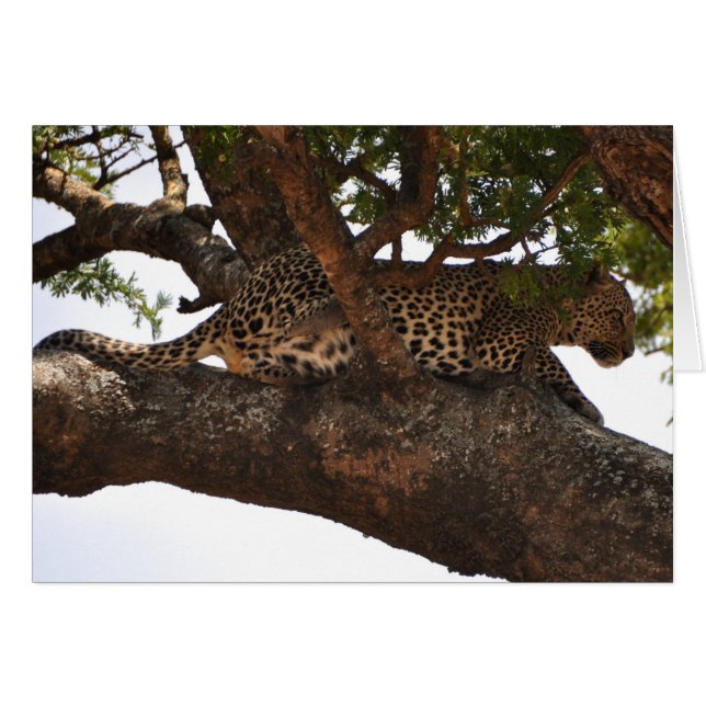 Gevolgd (Voorkant Horizontaal)