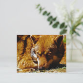 Gevolgd Briefkaart (Staand voorkant)