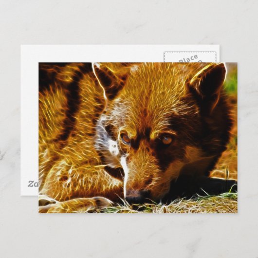 Gevolgd Briefkaart (Voorkant / Achterkant)