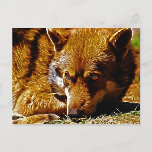 Gevolgd Briefkaart (Voorkant)