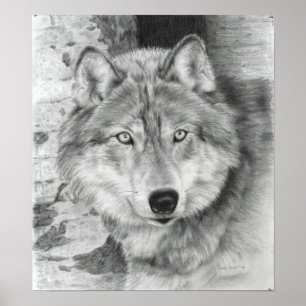 Gevolgd poster van Eyes
