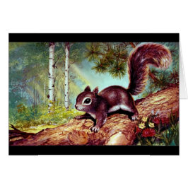 Gevonden  eekhoorn op log