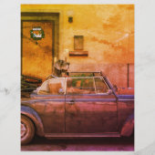 Gevonden Hond Scheur Van Kleurrijk Flyer (Achterkant)