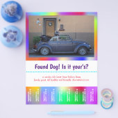 Gevonden Hond Scheur Van Kleurrijk Flyer (Enkel)