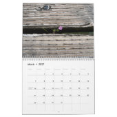 Gevonden kunst en andere vreemde dingen kalender (Mar 2027)